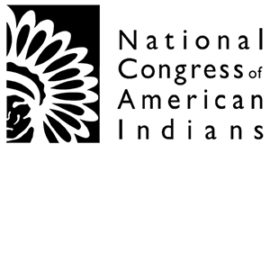 David Bradley Olsen Represents Henson Efron’s Indian Law Practice Group at NCAI 2013 Mid-Year Conference